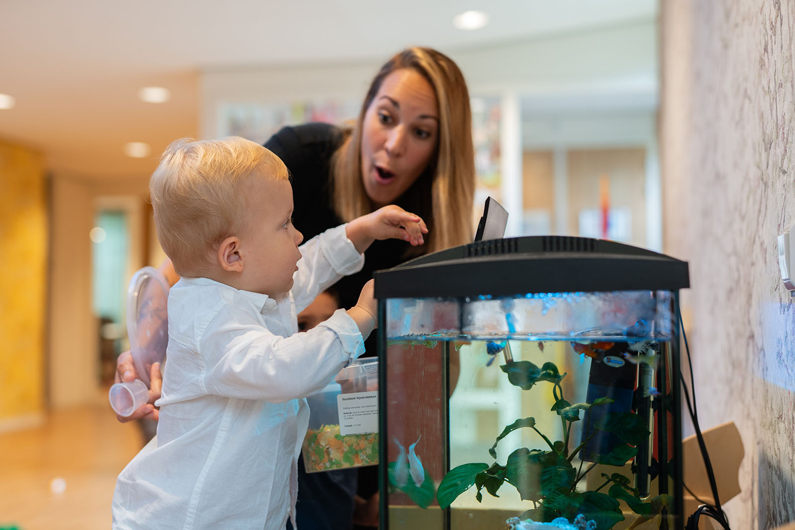 Boy watching and feeding fishes