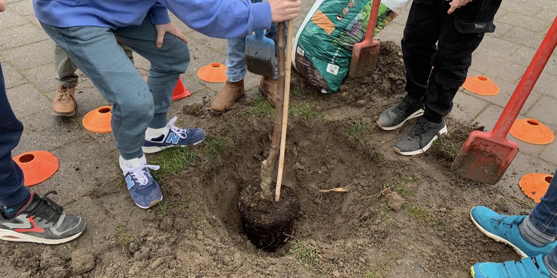 planting a tree at Basker International Childcare