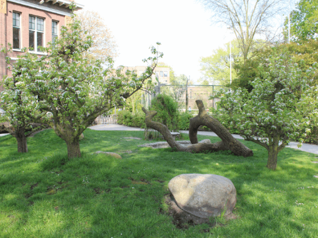 Garden with Stones