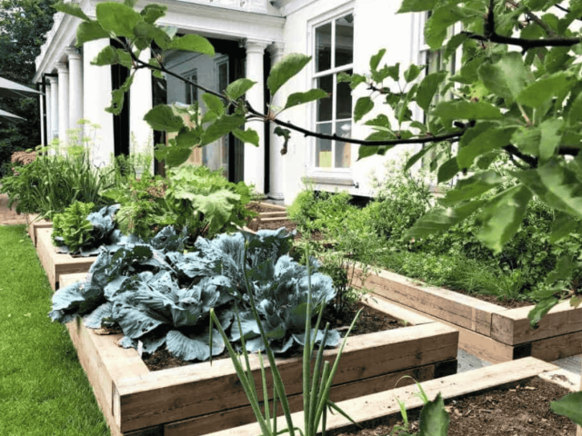 Vegetable Garden Little castle