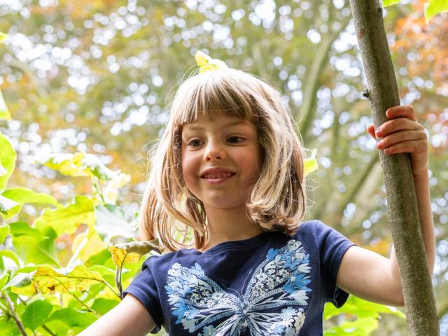 Child sits in tree at Basker International Childcare