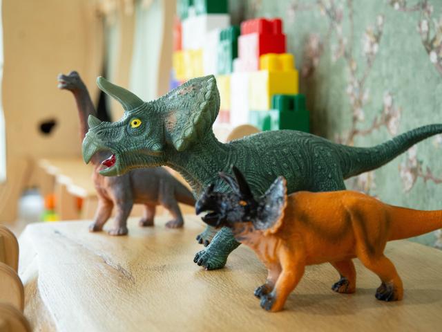 Dinosaur toys